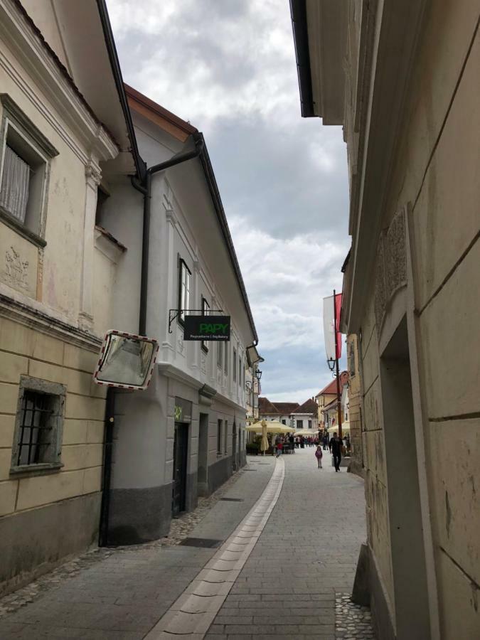 Apartma Linhartov Trg رادوفيتْسا المظهر الخارجي الصورة