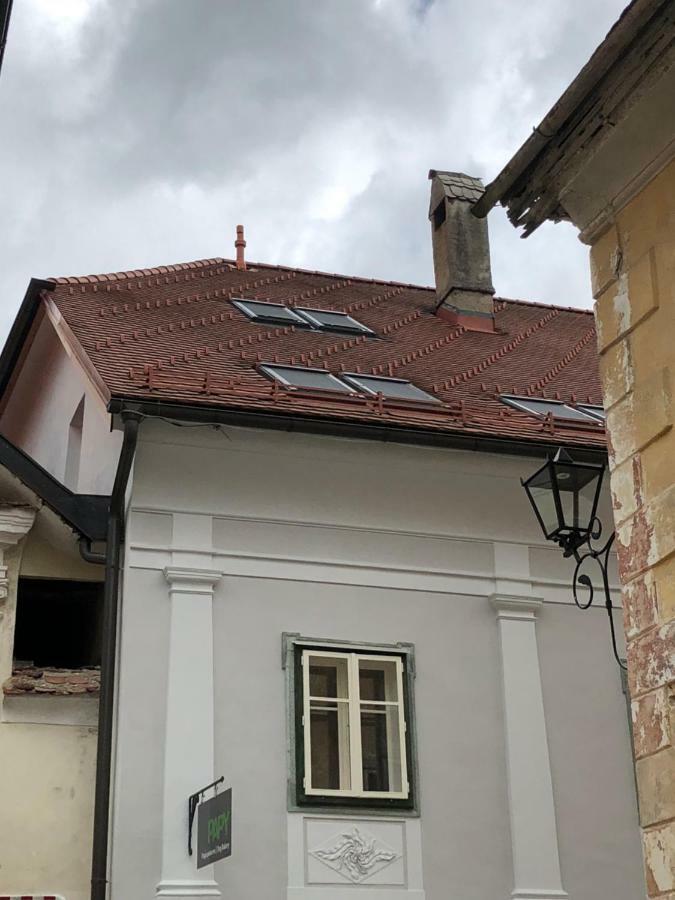 Apartma Linhartov Trg رادوفيتْسا المظهر الخارجي الصورة